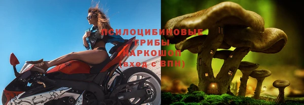 тгк Абинск
