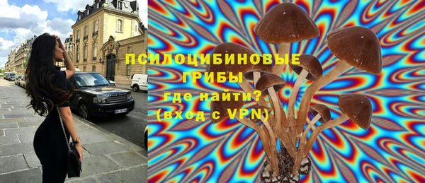 тгк Абинск