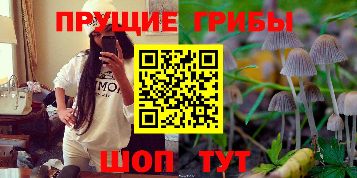 Псилоцибиновые грибы Psilocybine cubensis Балаково